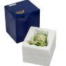 Фигурка Лягушка с цветами Pavone CMS-60/ 7. Фотография коробки.