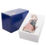 Фигурка Девочка в розовой юбке Pavone CMS-20/ 7. Фотография коробки.